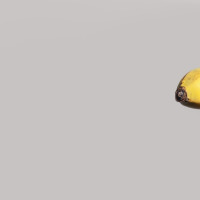 customer testimonial portrait